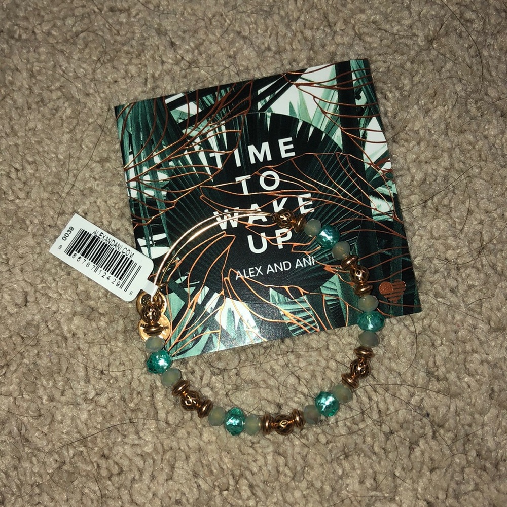 Alex and Ani Bracelet